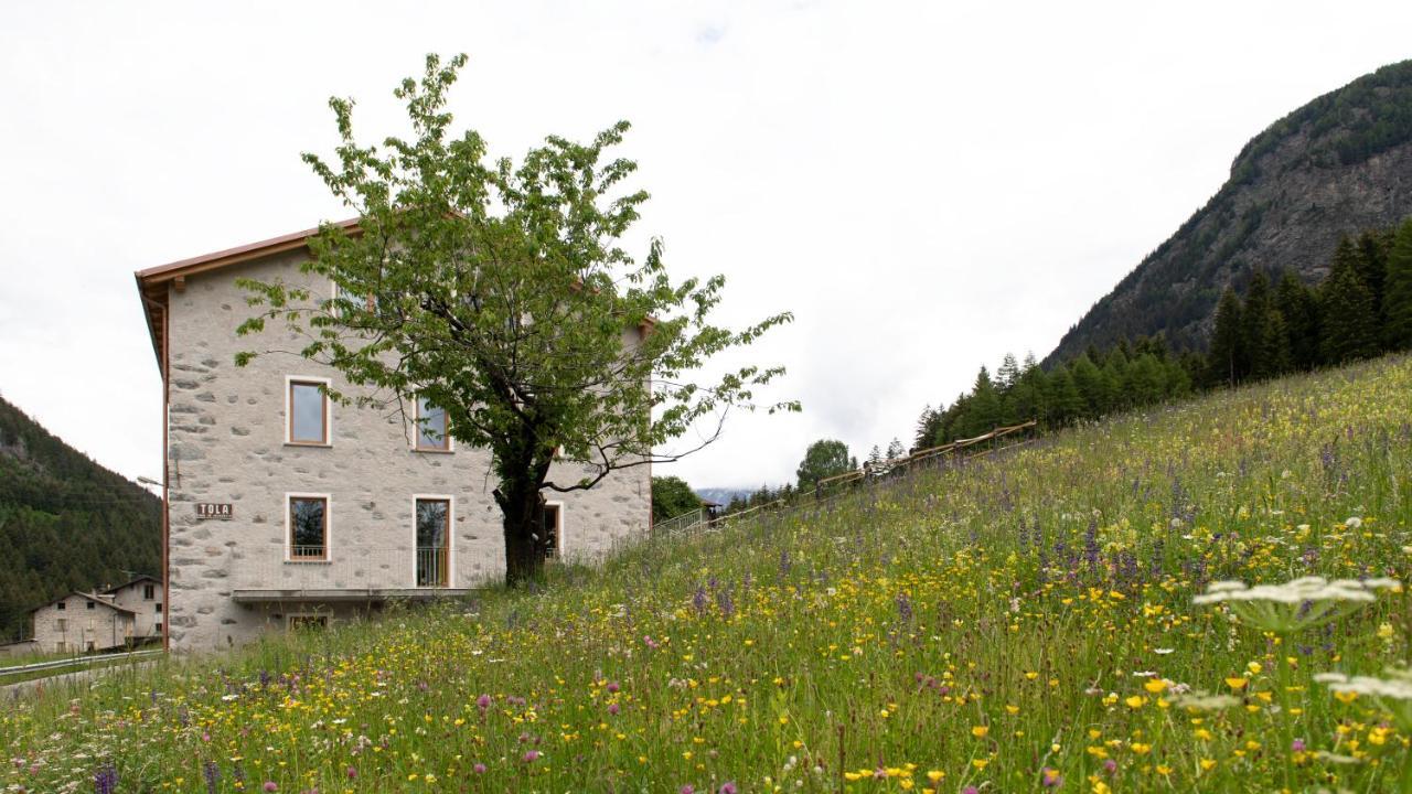 Italianway - Villa Tola فالديسوتو المظهر الخارجي الصورة